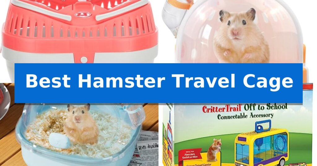 Best Hamster Travel Cage