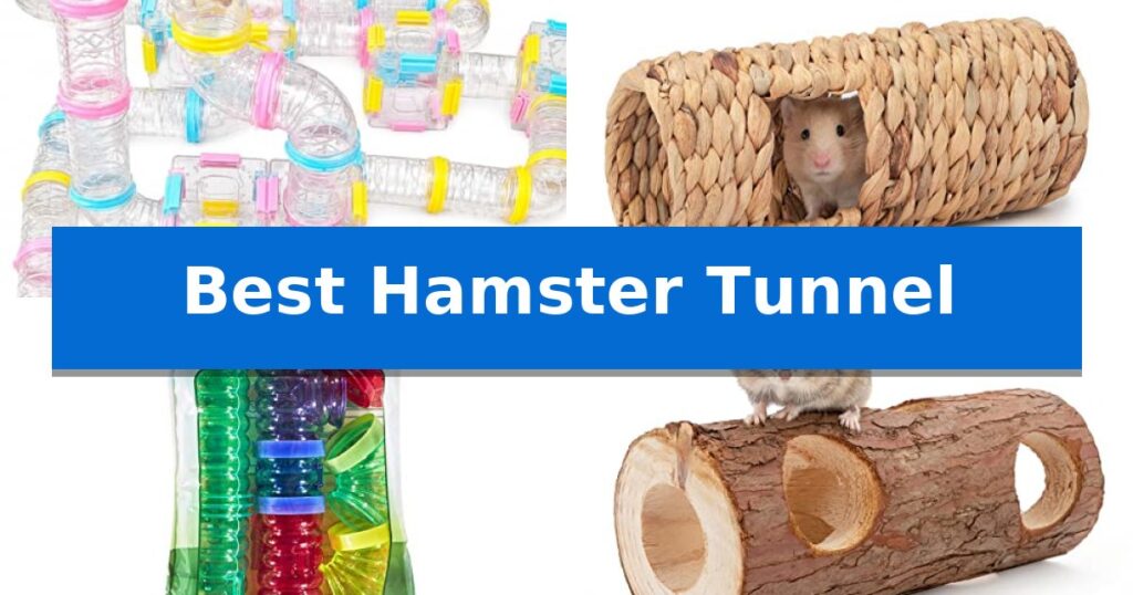 Best Hamster Tunnel