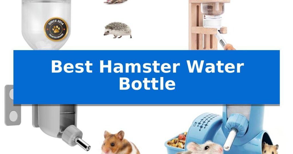 Best Hamster Water Bottle
