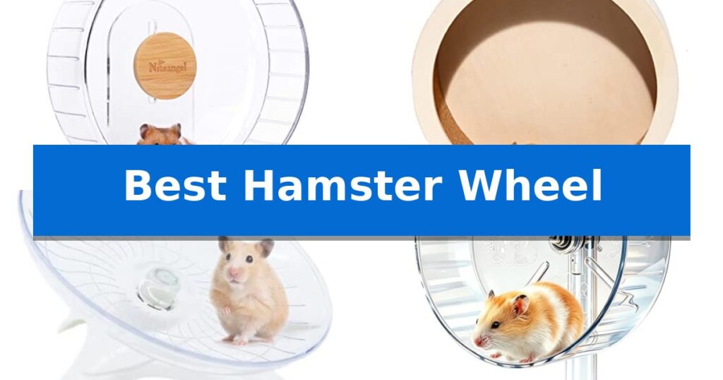 Best Hamster Wheel