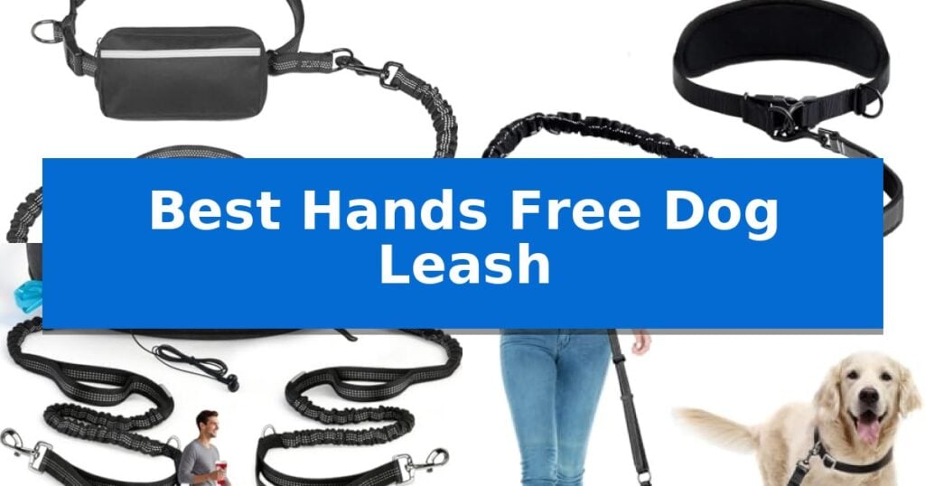 Best Hands Free Dog Leash
