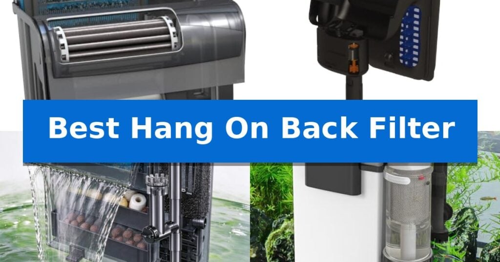 Best Hang On Back Filter