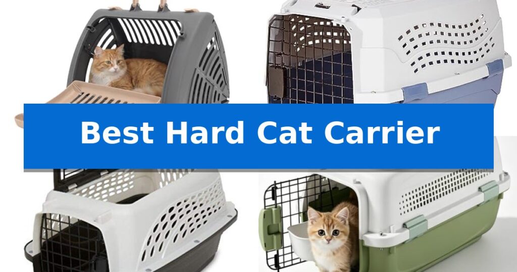Best Hard Cat Carrier