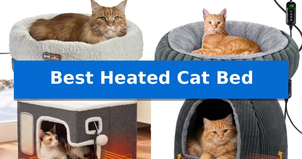 Best Heated Cat Bed
