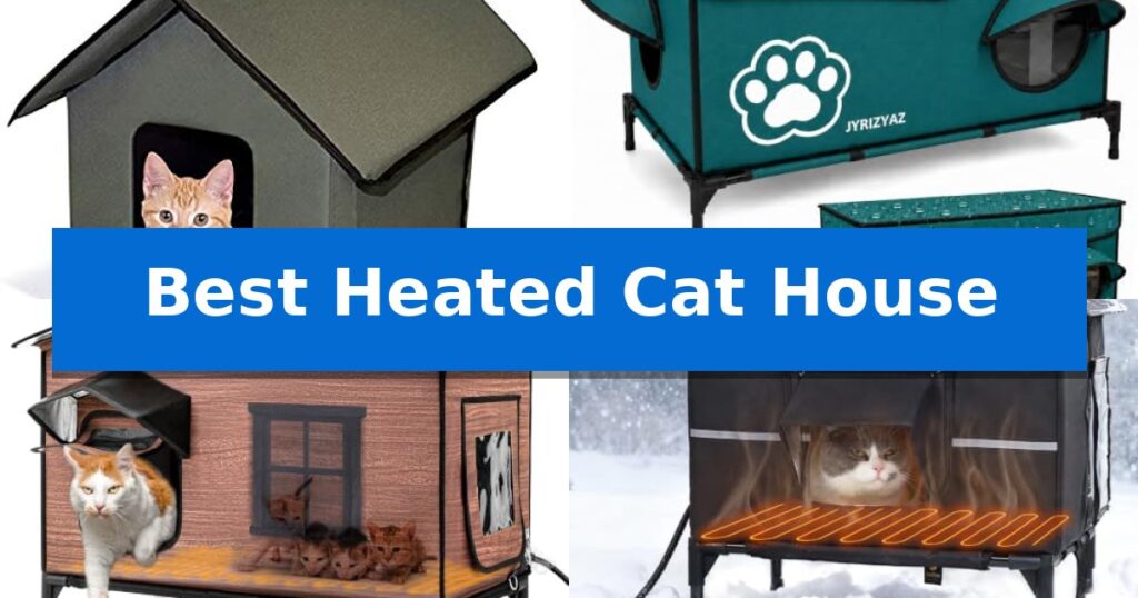 Best Heated Cat House