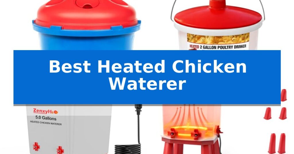 Best Heated Chicken Waterer
