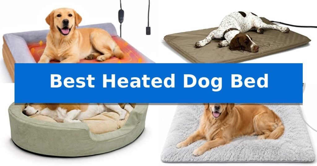 Best Heated Dog Bed
