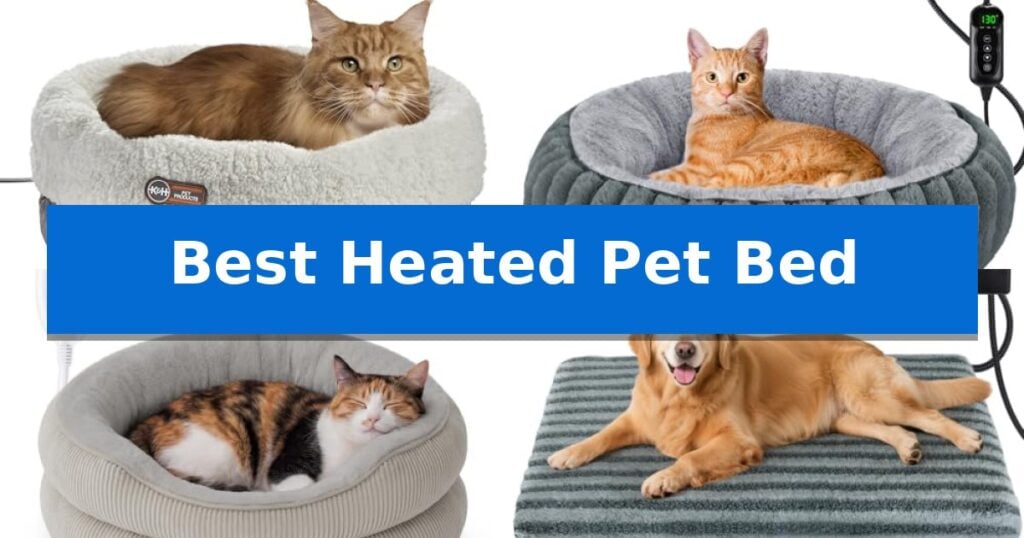 Best Heated Pet Bed