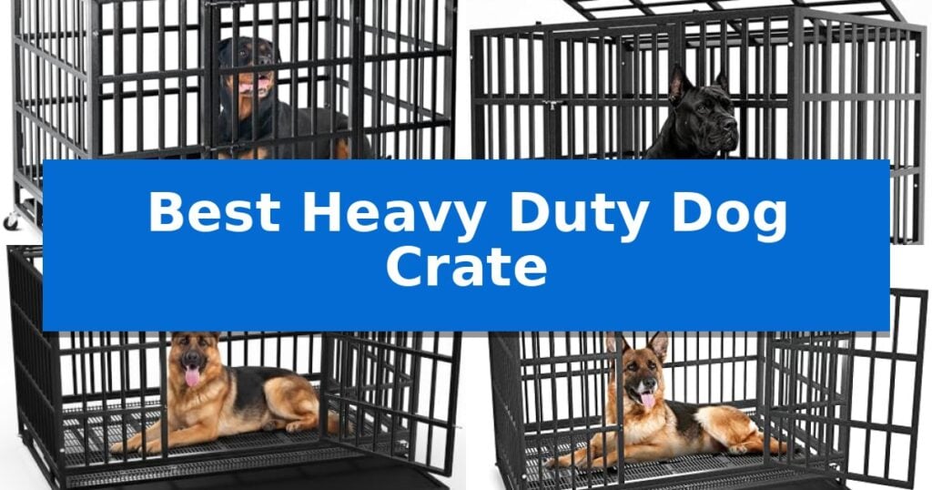 Best Heavy Duty Dog Crate