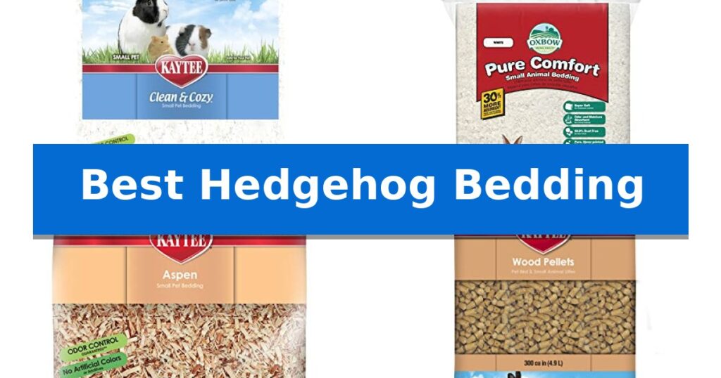 Best Hedgehog Bedding