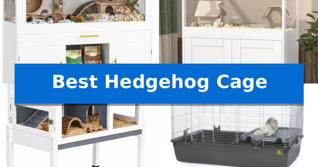 Best Hedgehog Cage