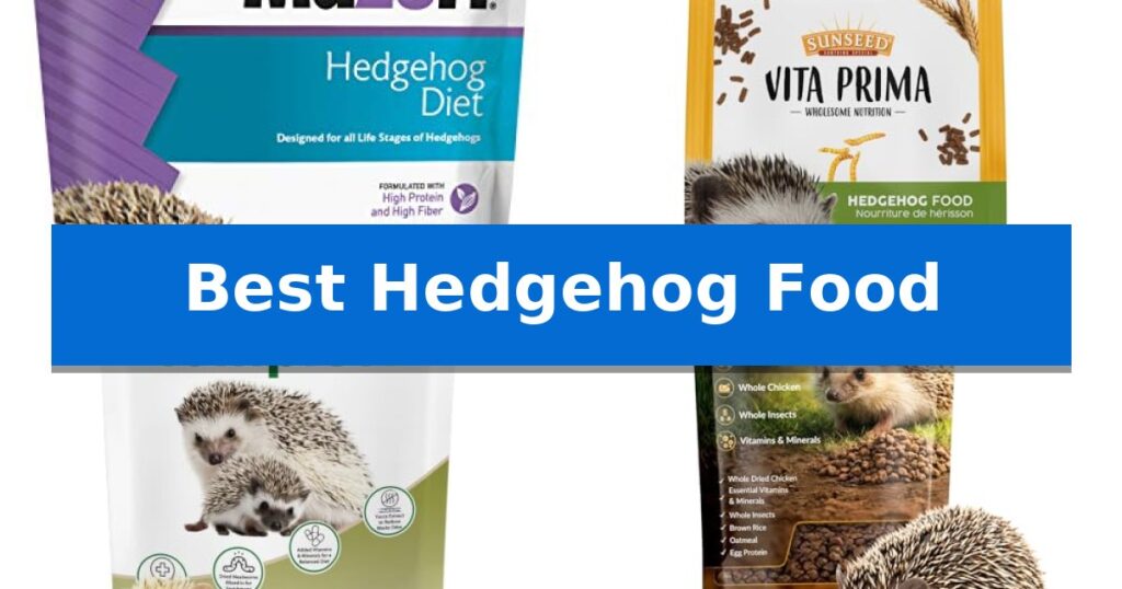 Best Hedgehog Food