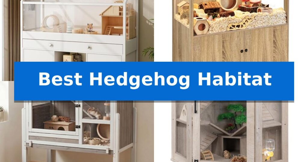 Best Hedgehog Habitat