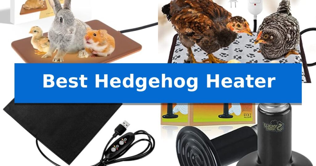 Best Hedgehog Heater