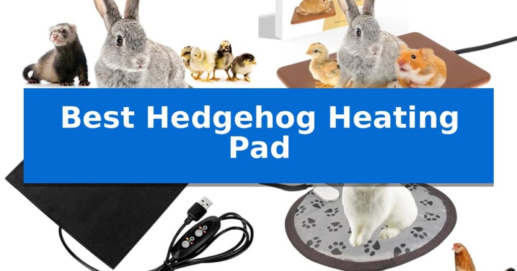 Best Hedgehog Heating Pad
