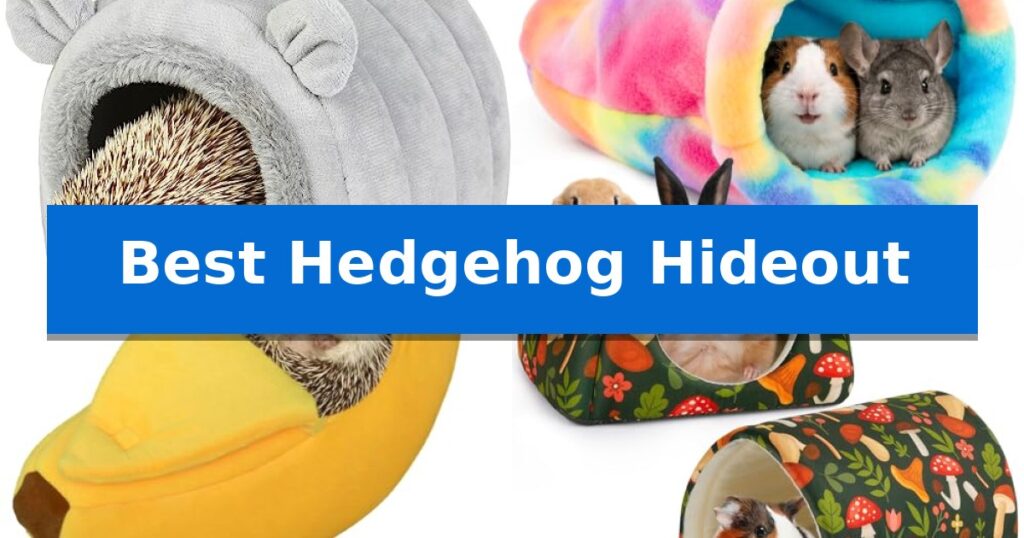 Best Hedgehog Hideout