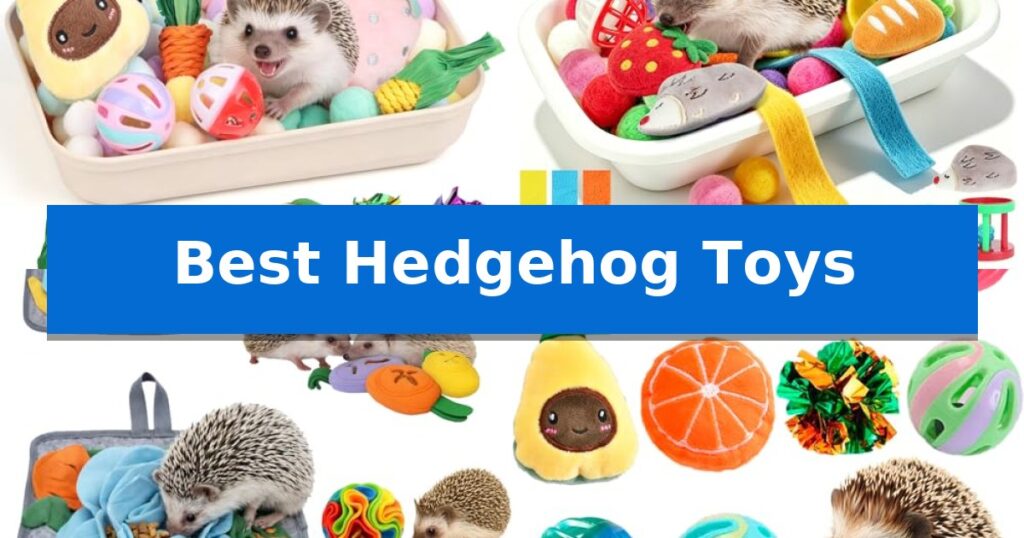 Best Hedgehog Toys