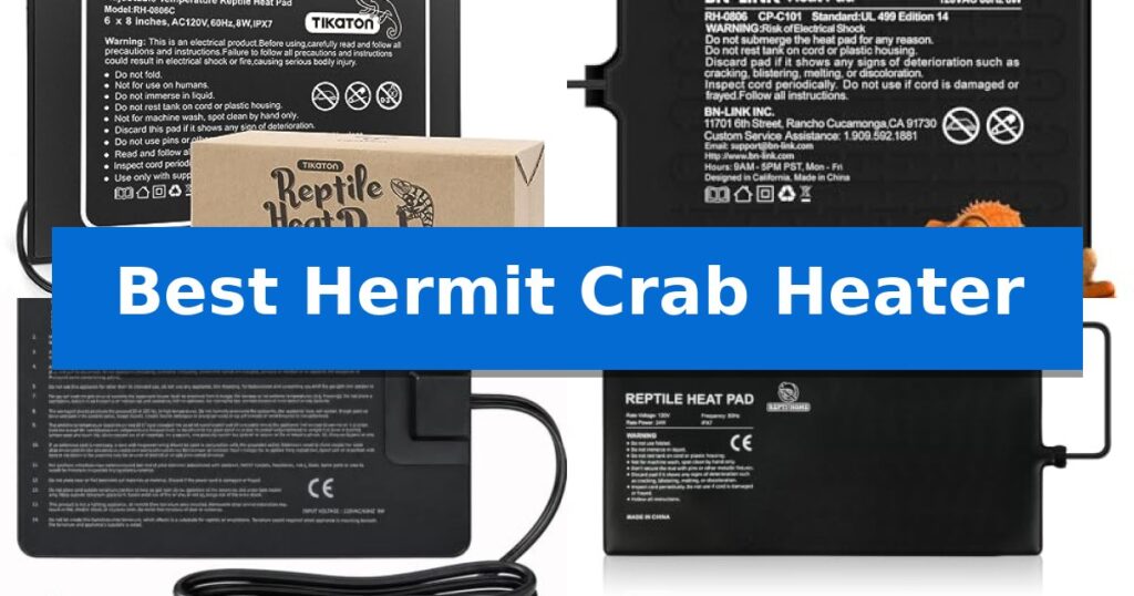 Best Hermit Crab Heater