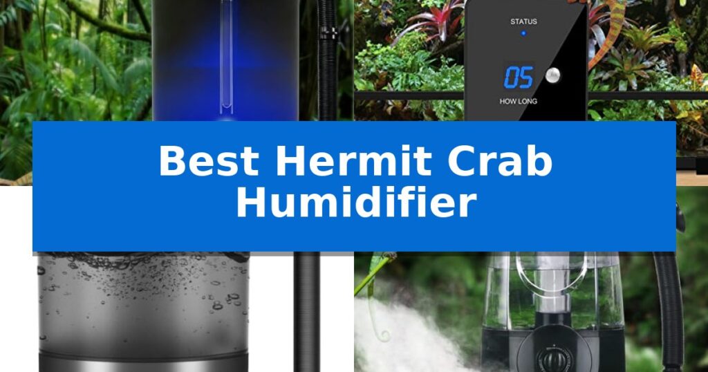 Best Hermit Crab Humidifier