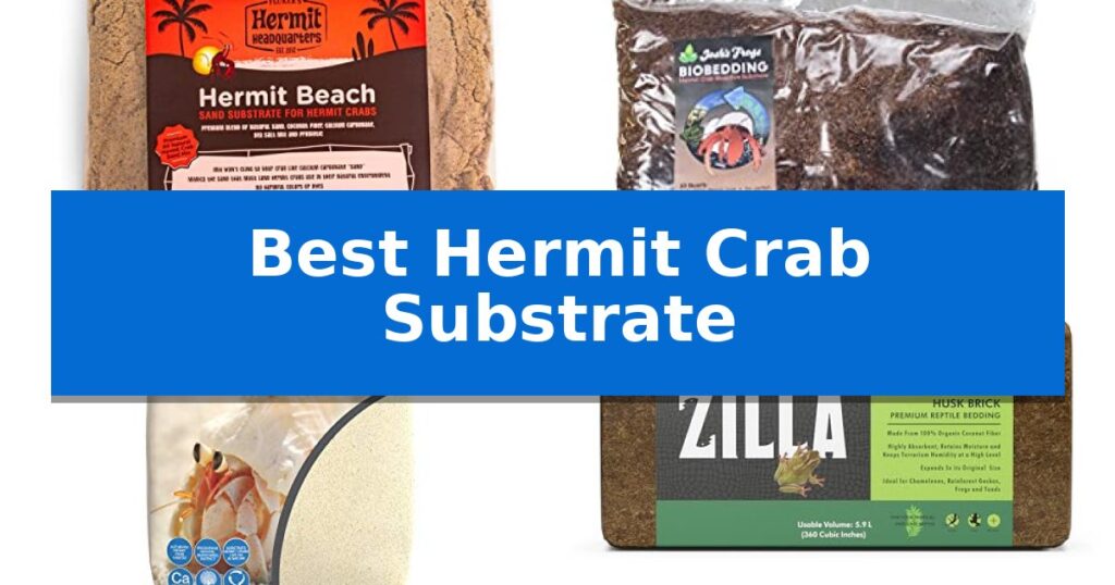 Best Hermit Crab Substrate