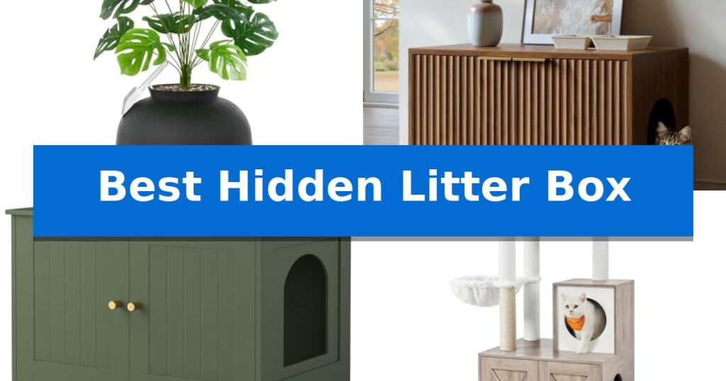 Best Hidden Litter Box
