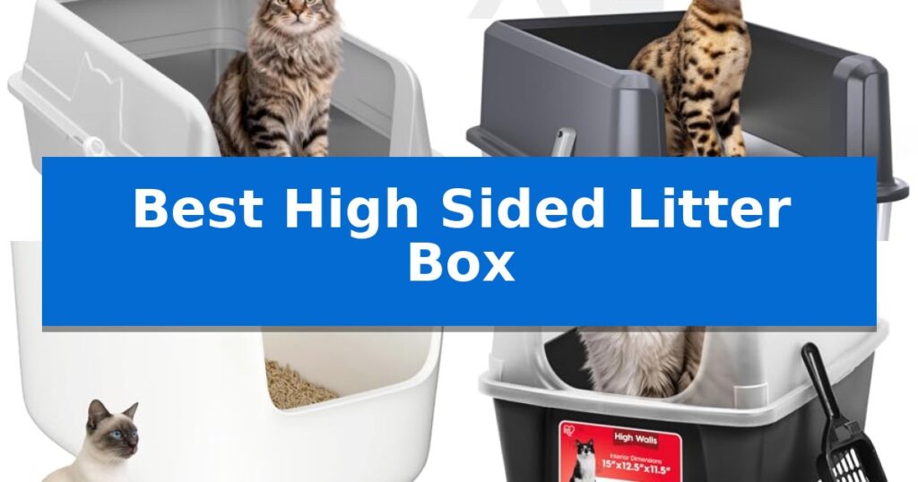 Best High Sided Litter Box