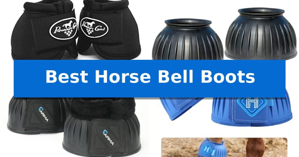 Best Horse Bell Boots