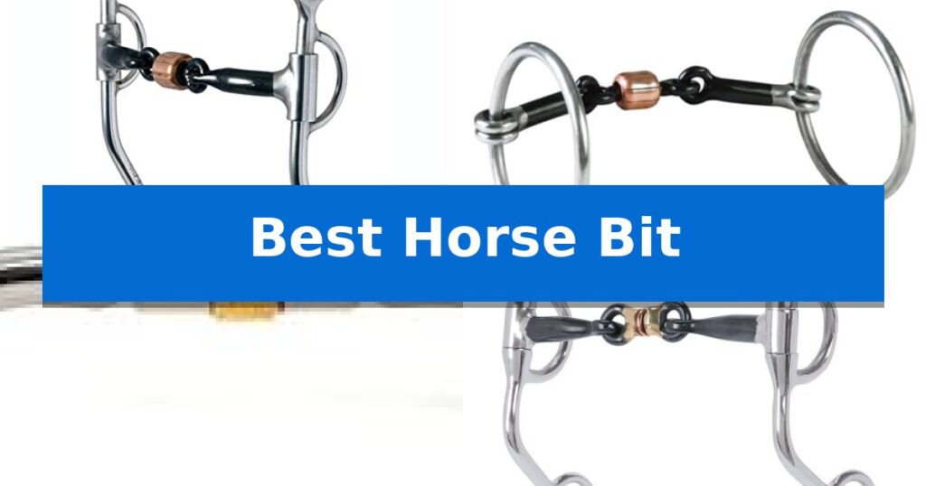 Best Horse Bit