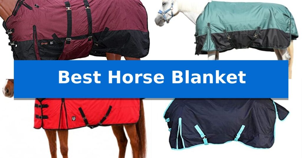 Best Horse Blanket