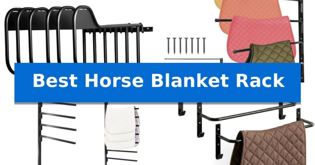 Best Horse Blanket Rack