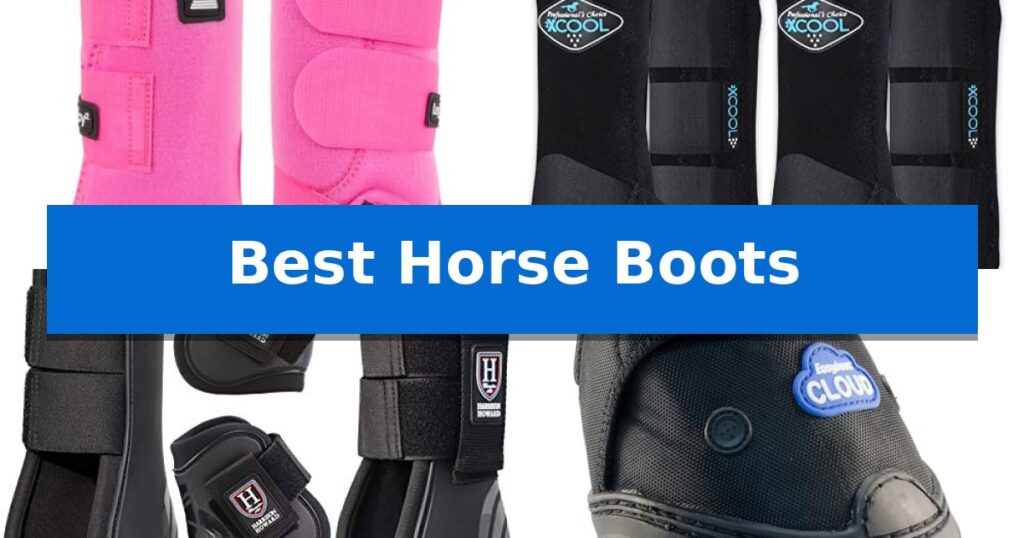 Best Horse Boots
