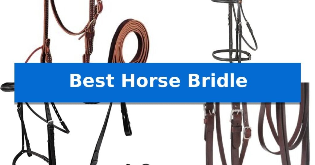 Best Horse Bridle
