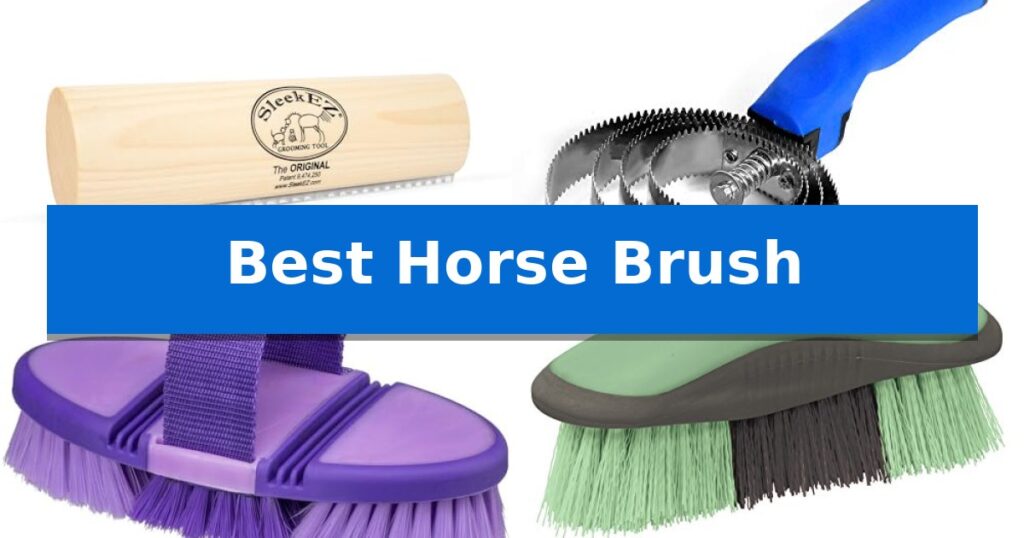 Best Horse Brush
