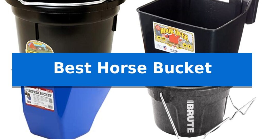 Best Horse Bucket