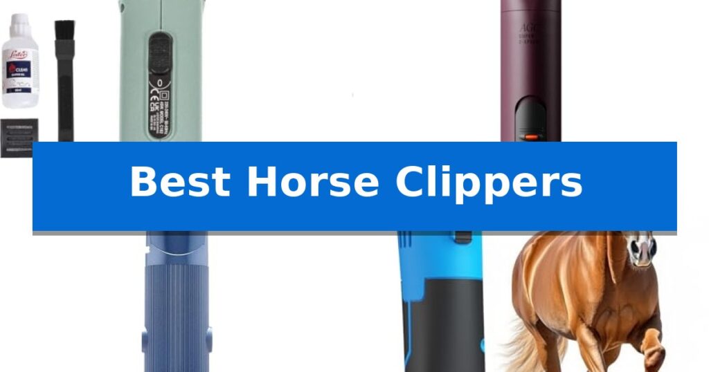 Best Horse Clippers