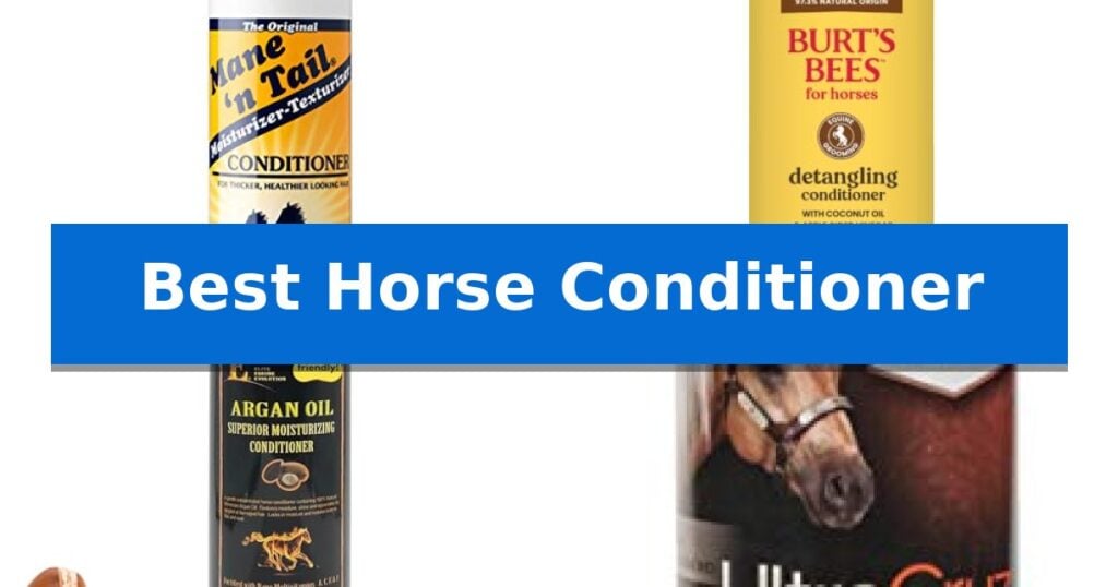 Best Horse Conditioner