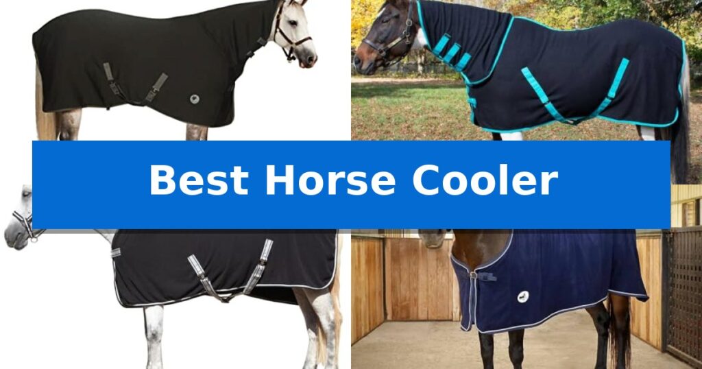 Best Horse Cooler