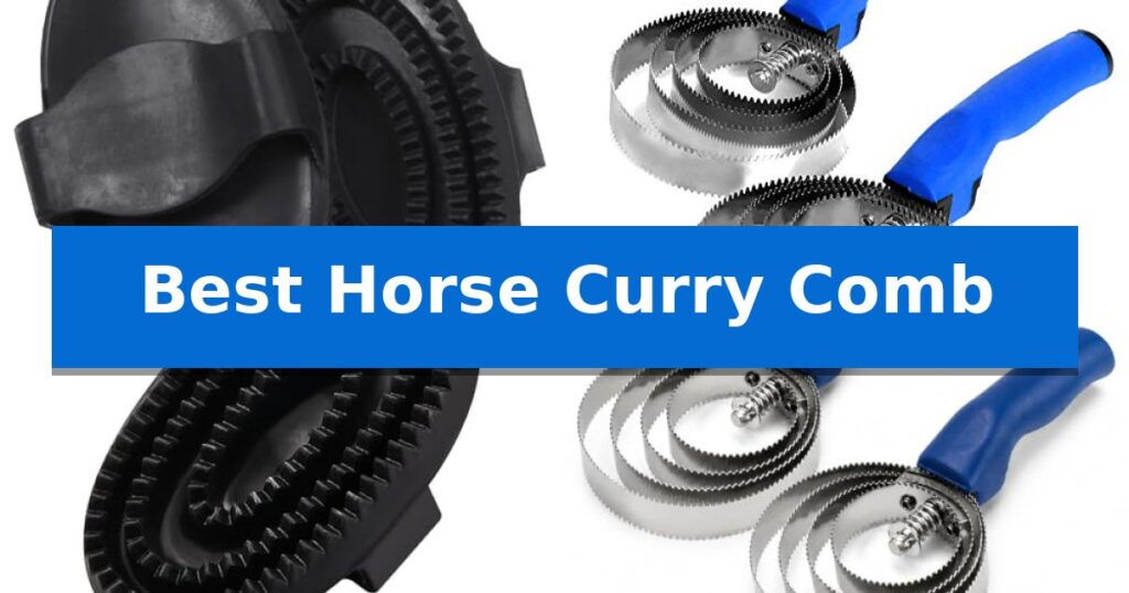 Best Horse Curry Comb
