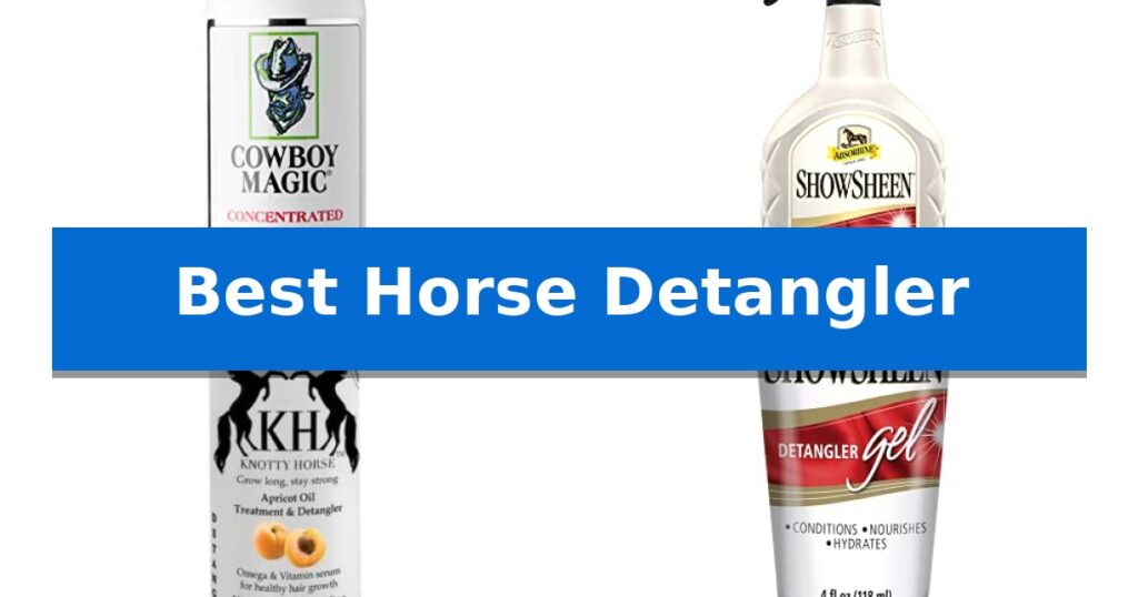 Best Horse Detangler