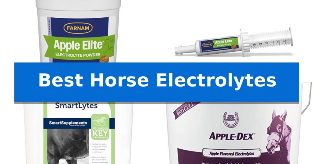 Best Horse Electrolytes