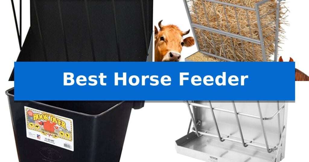 Best Horse Feeder