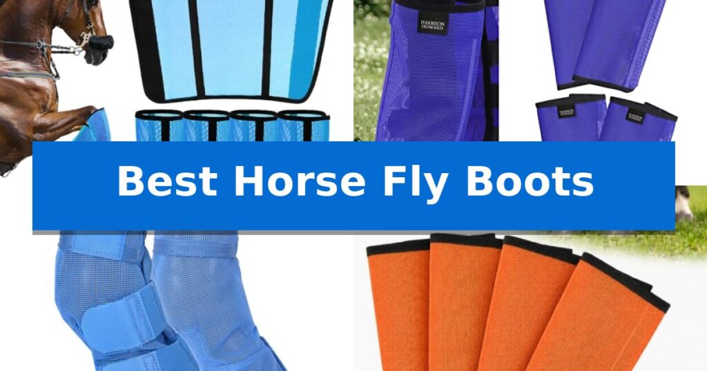 Best Horse Fly Boots