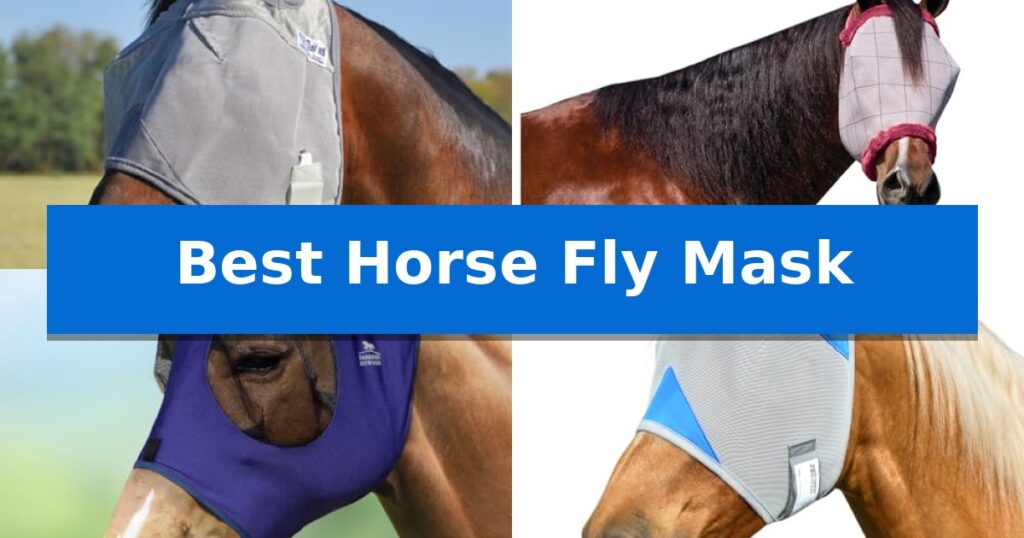Best Horse Fly Mask
