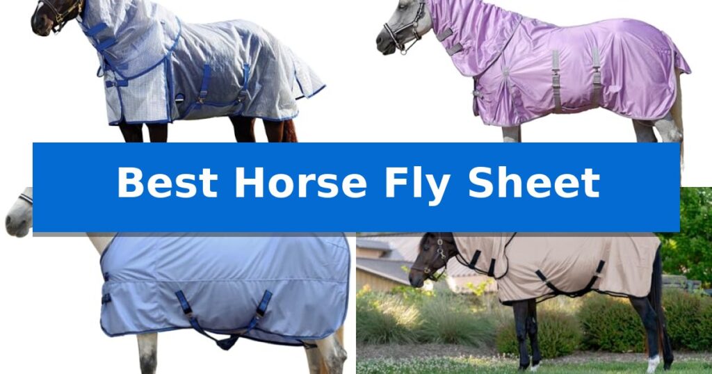 Best Horse Fly Sheet