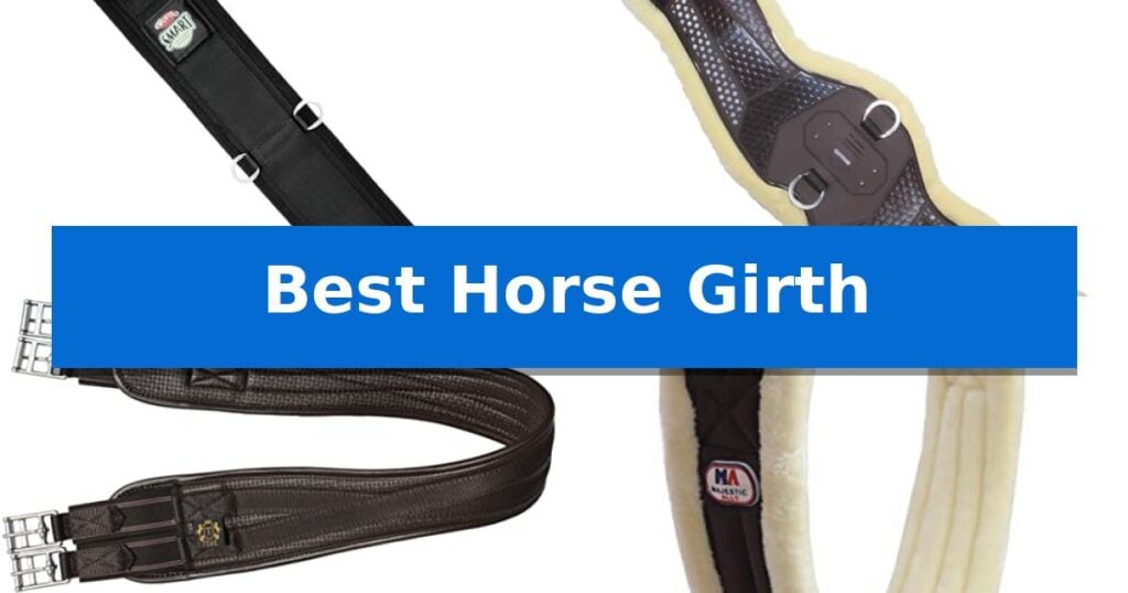 Best Horse Girth