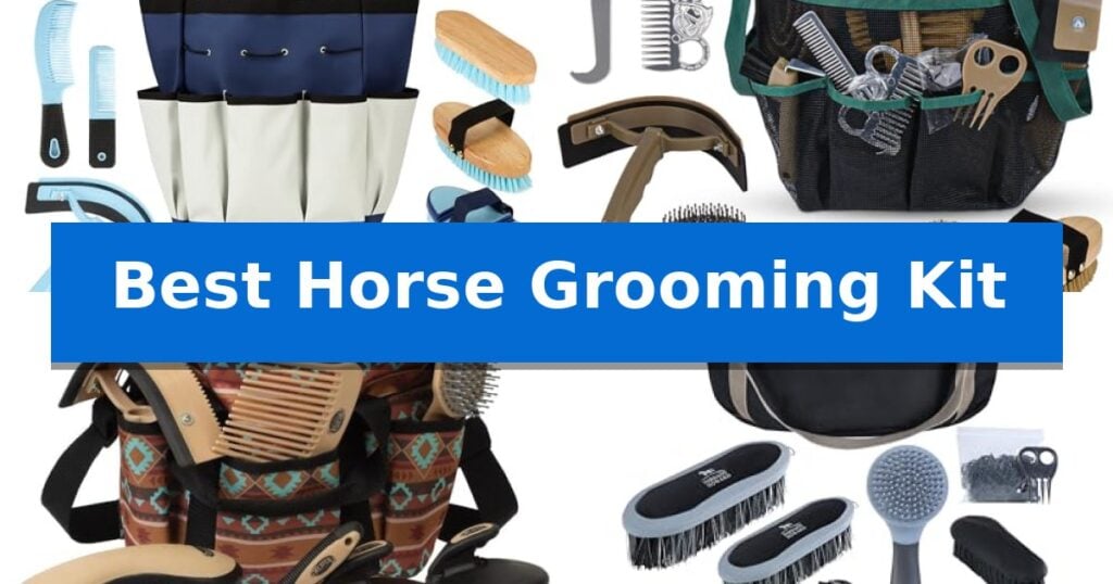 Best Horse Grooming Kit