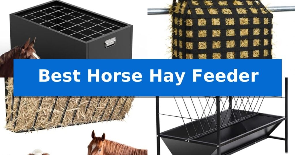 Best Horse Hay Feeder