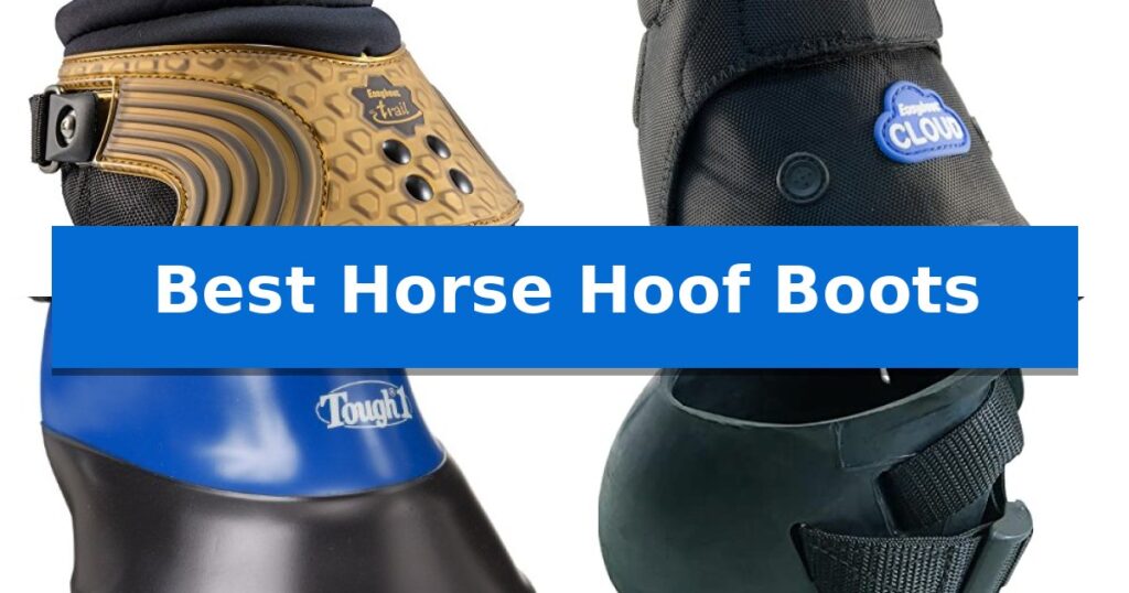 Best Horse Hoof Boots