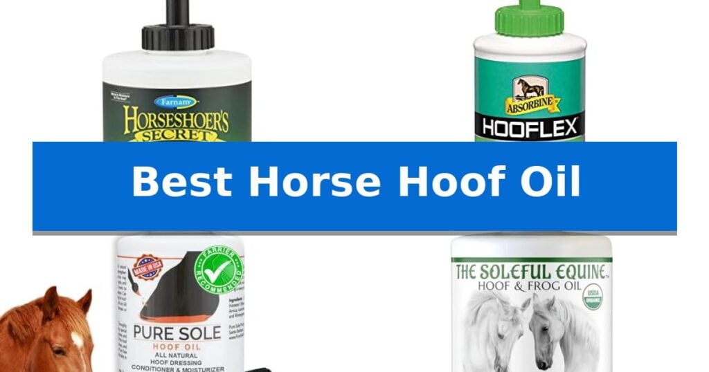 Best Horse Hoof Oil