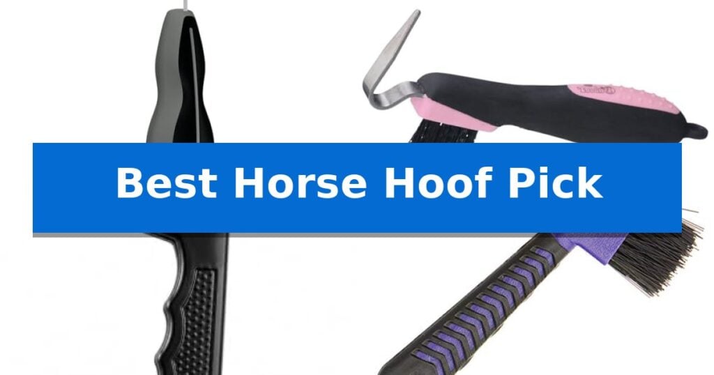 Best Horse Hoof Pick